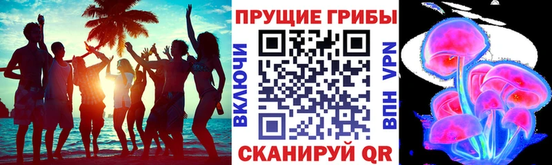 Галлюциногенные грибы Psilocybe  магазин продажи   Луховицы 