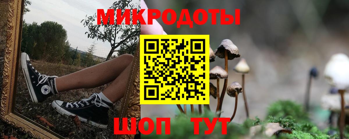 Псилоцибиновые грибы Psilocybine cubensis Луховицы